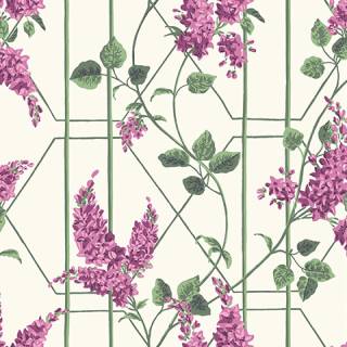 Botanical ~Botanica~