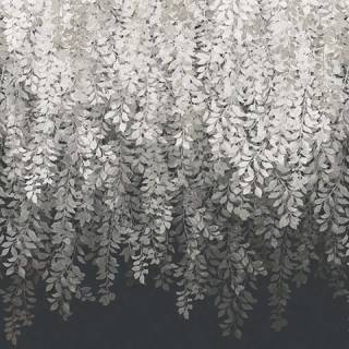 Kensington Walk Wallpapers