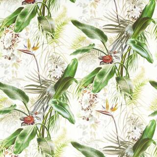 Kensington Walk Wallpapers
