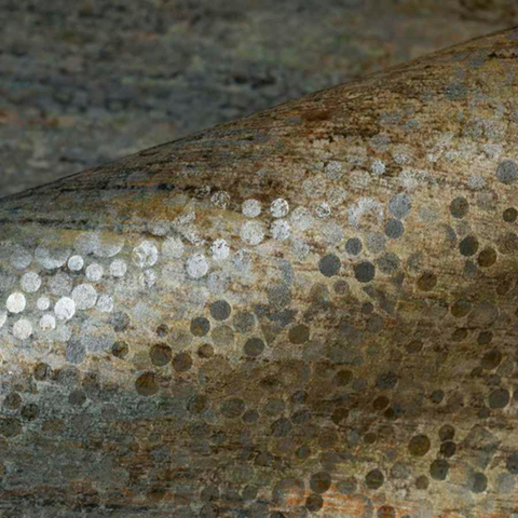 Перше фото слайду