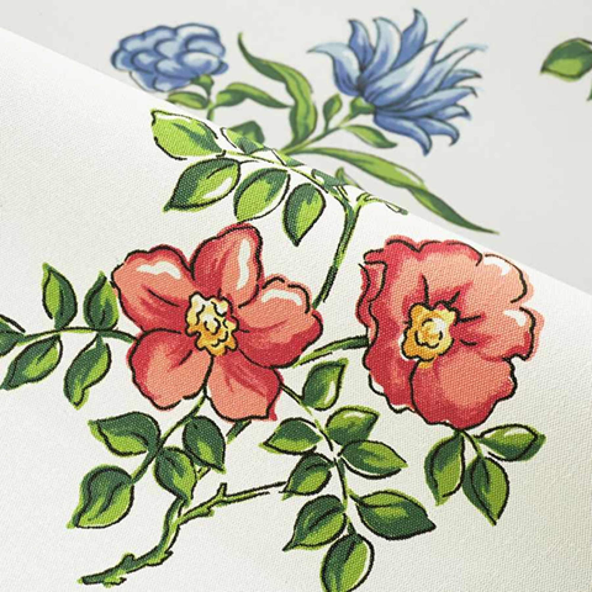 Первое фото слайда