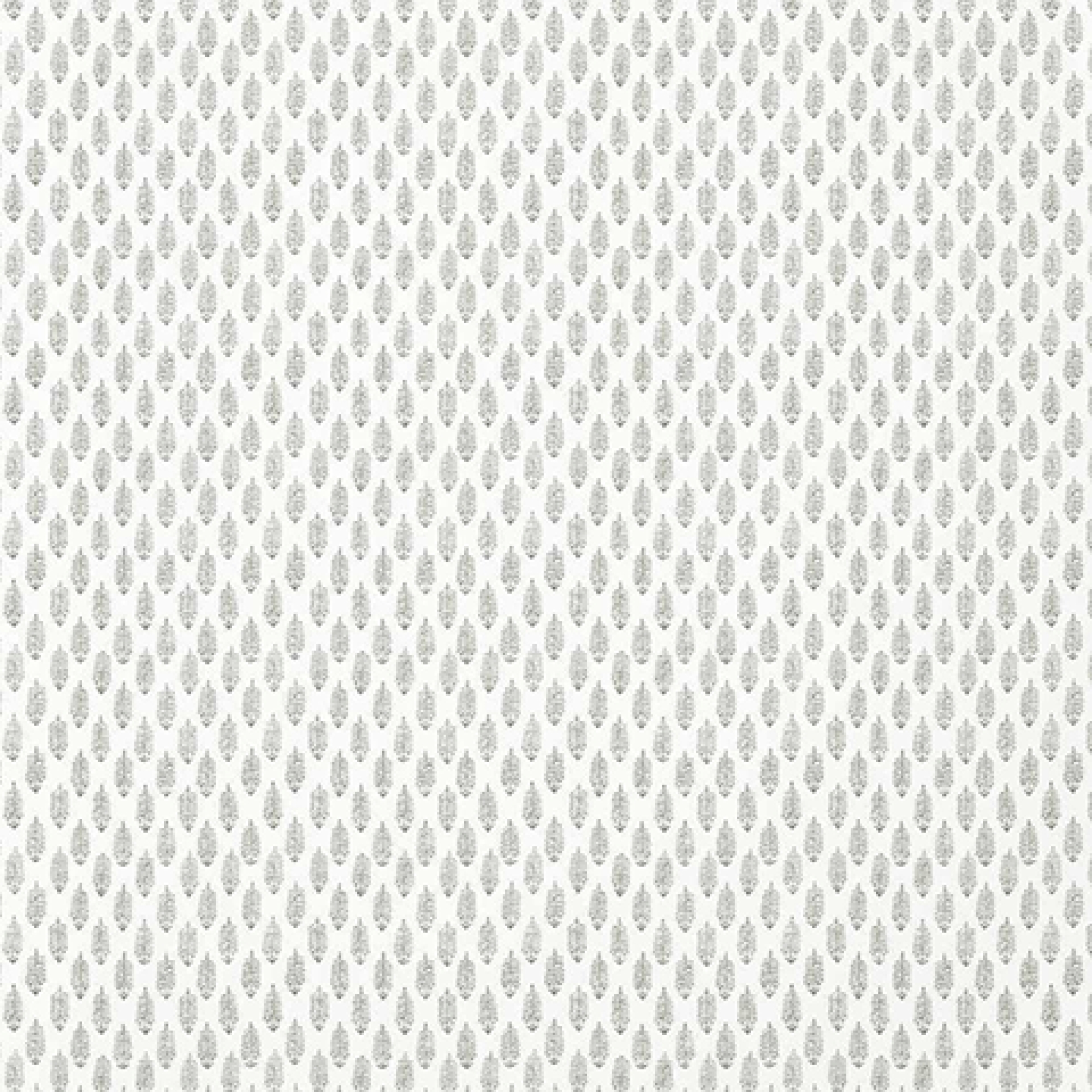 Второе фото слайда