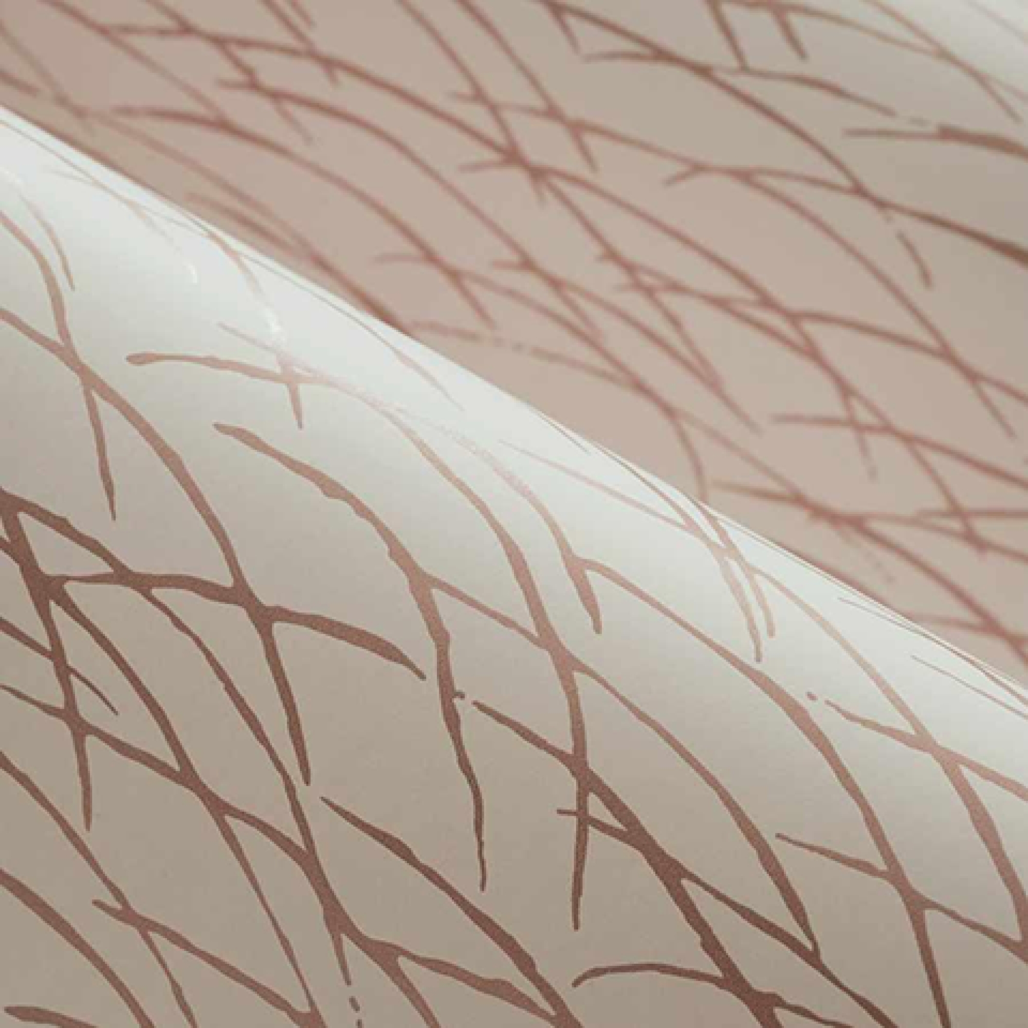 Первое фото слайда