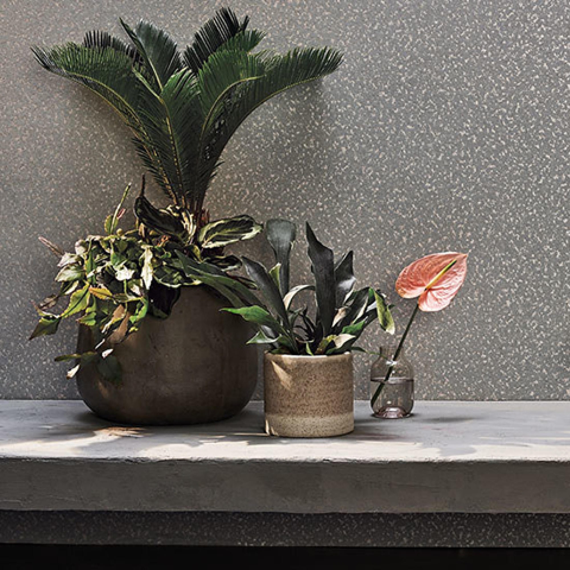 Друге фото слайду