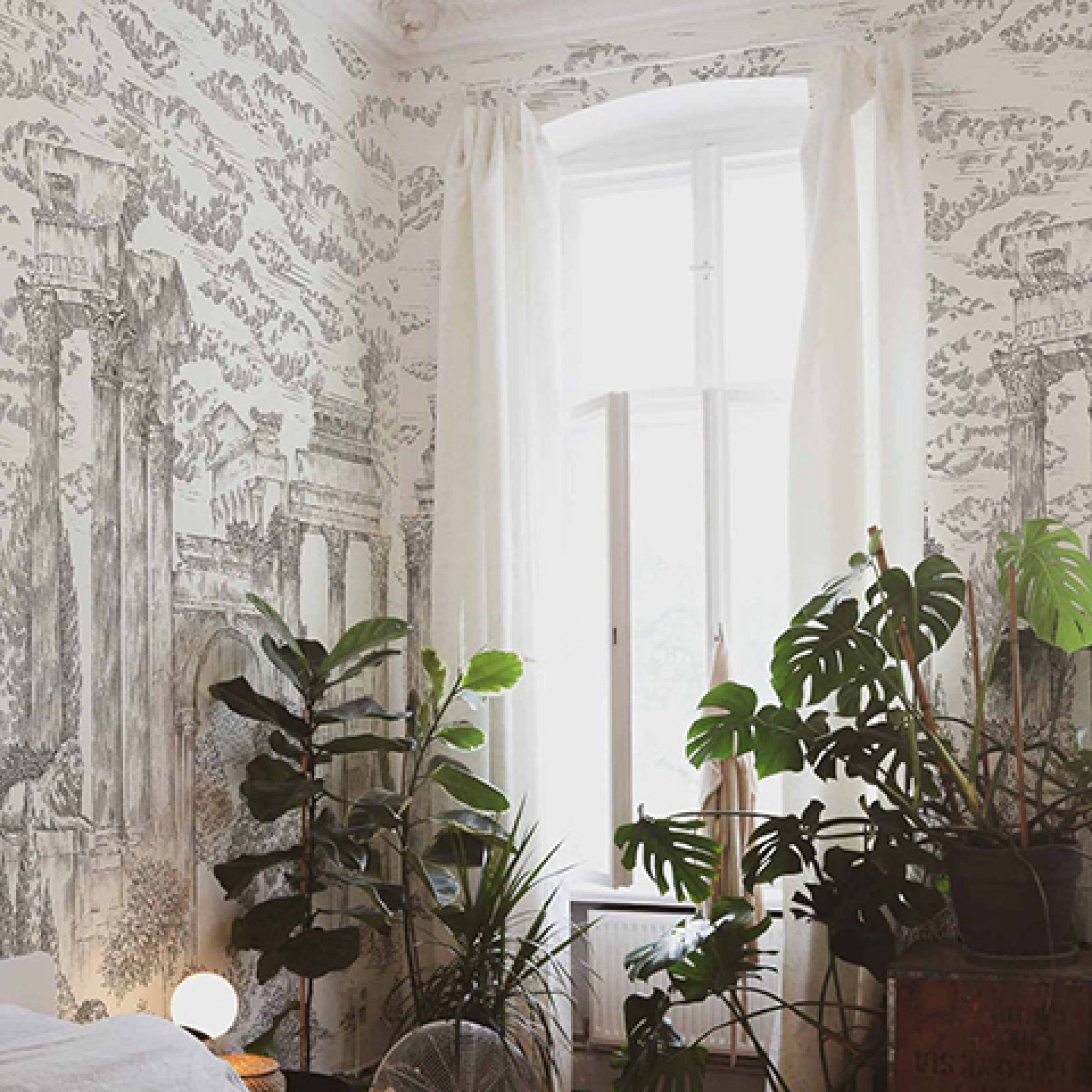 Второе фото слайда