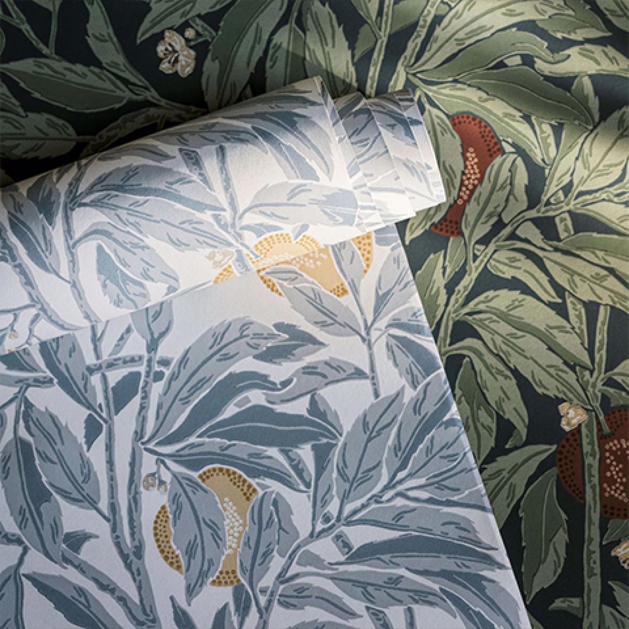 Перше фото слайду