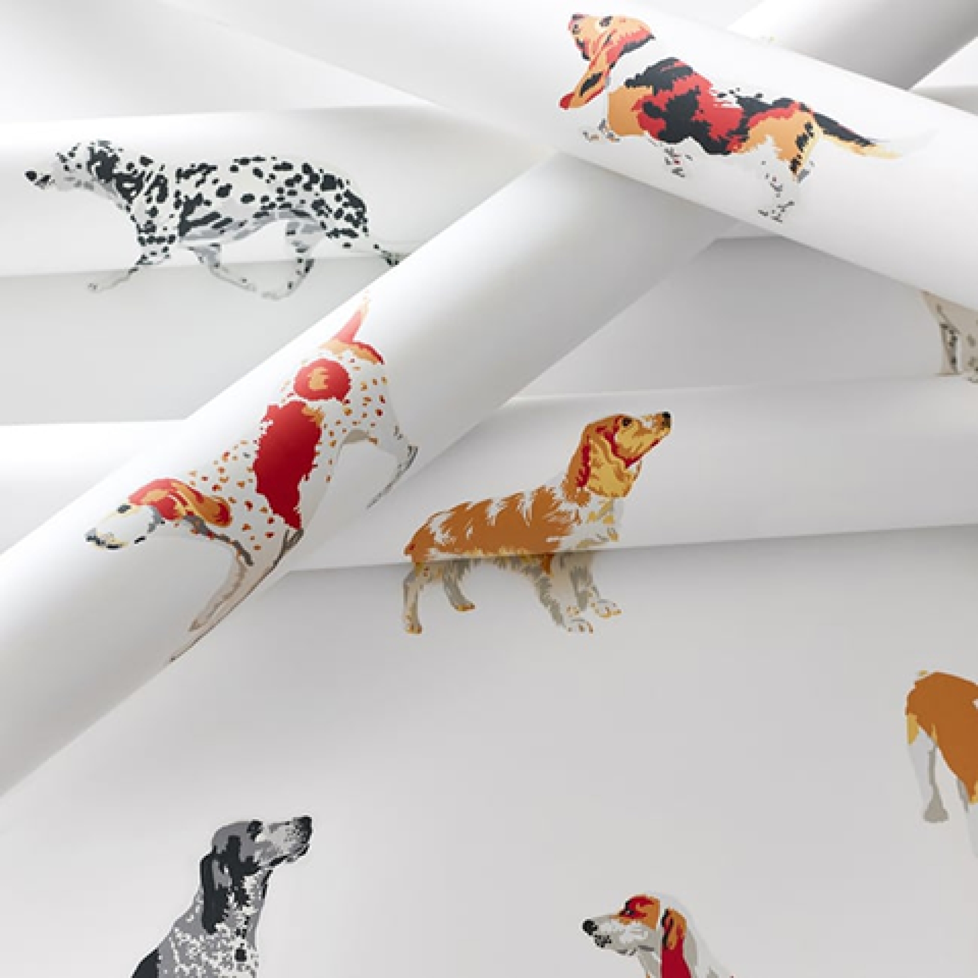 Друге фото слайду