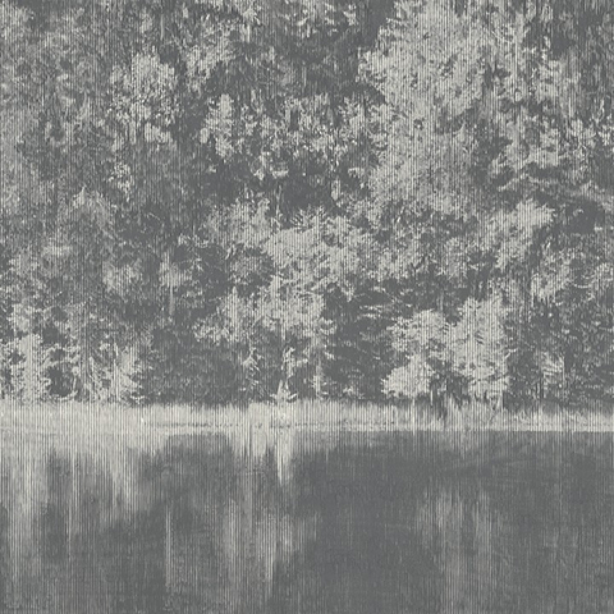 Первое фото слайда