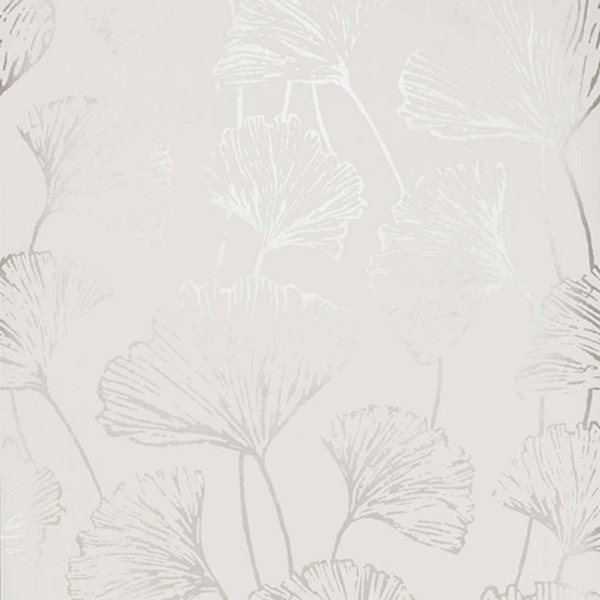 Первое фото слайда