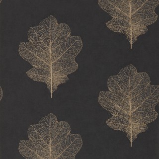 Колекція Woodland Walk, DWOW215700