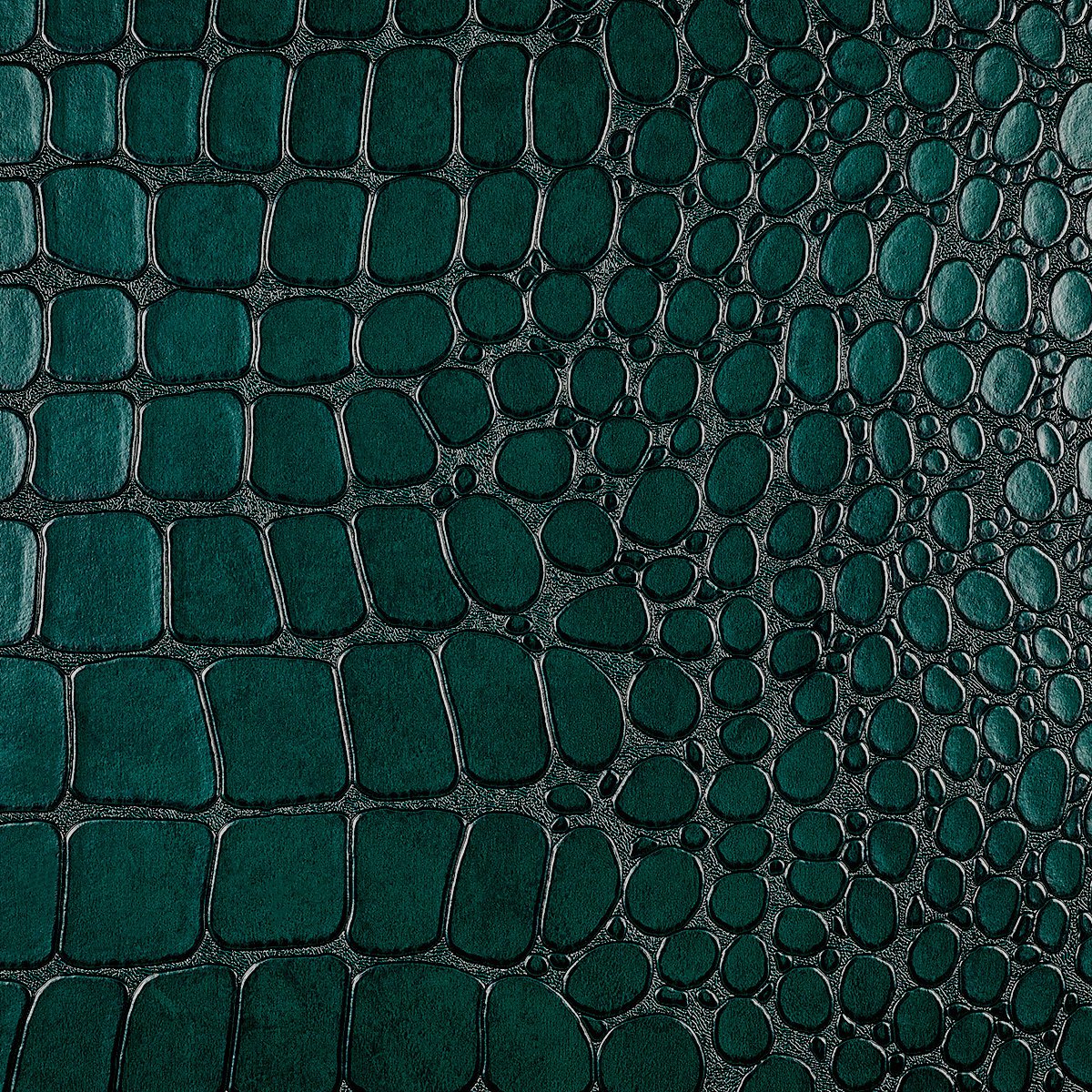 Колекція Vinyl Crocodile Rock, 10215