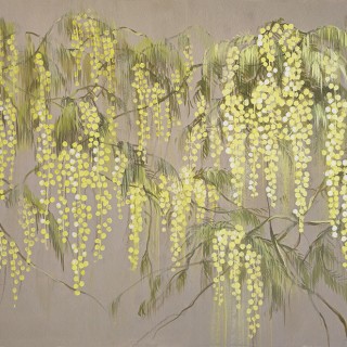 Колекція Anna Klovak, Mimose