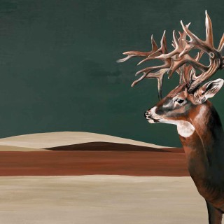 Колекція Naturale, 9500201