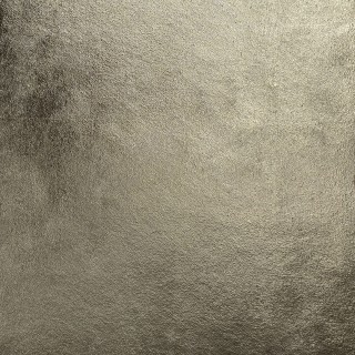 Колекція Anna Klovak, Champagne gold