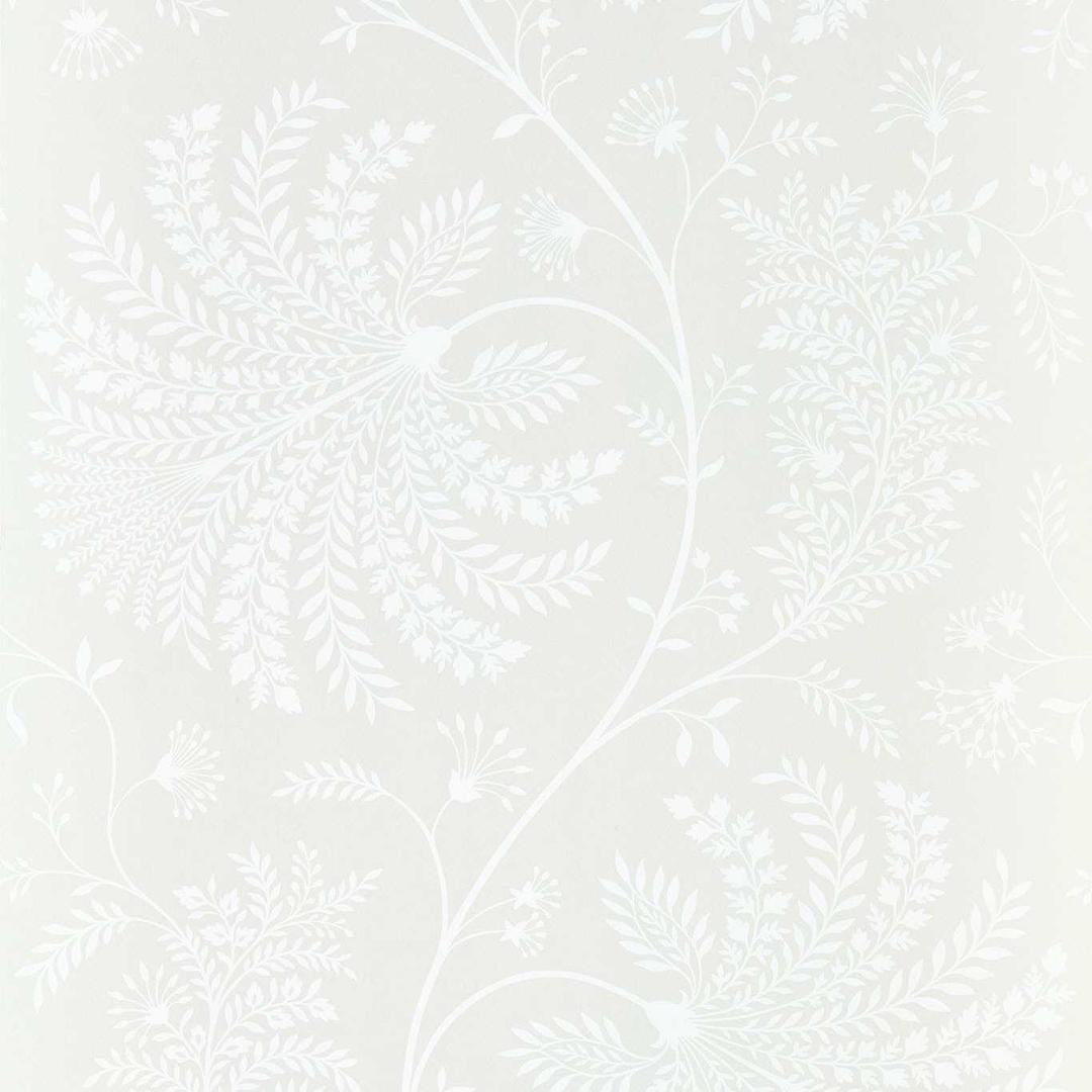 Колекція Curios,  216343