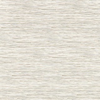 Колекція Breegan Jane x Clarke and Clarkee, W0192/05