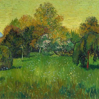 Колекція Painted Memories 2, 8084