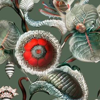 Колекція Mooi Wallcovering Green House, MO5001