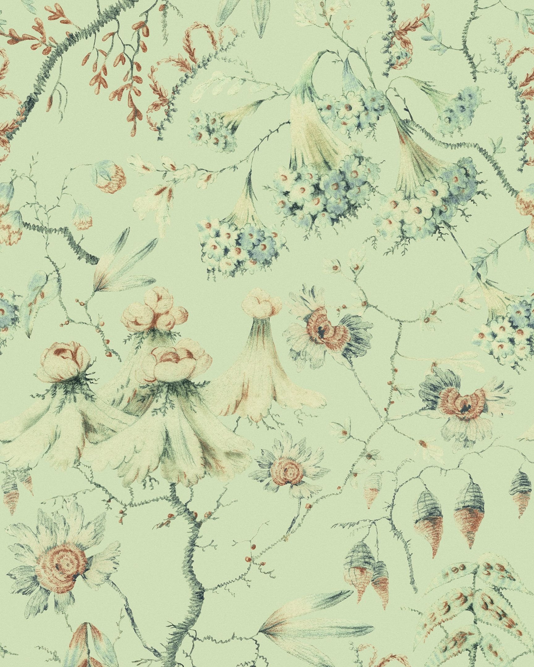 Колекція Transylvanian Roots , WP30019