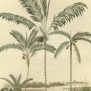 Колекція Oasis, 317406