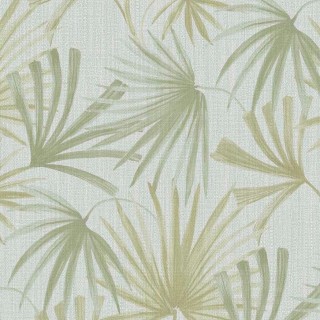 Колекція Groovy, 340511