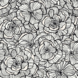 Коллекция  Piano, WH40810