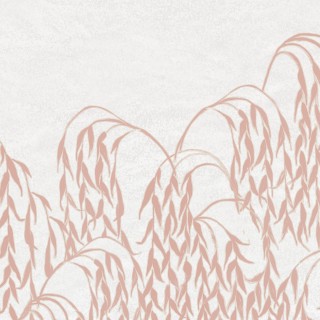 Коллекция Panorama, PAN183