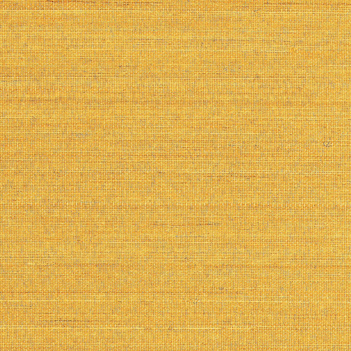 Колекція Abaca Harvest, 1100