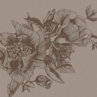 Колекція Naturale, 9500703
