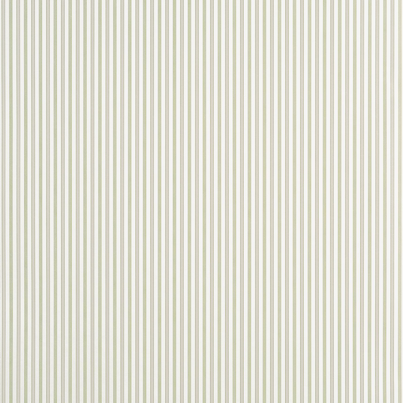 Коллекция  Stripes and Checks, T44066