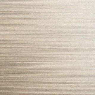 Колекція Ted Baker, 14047W9975604