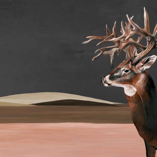 Колекція Naturale, 9500200