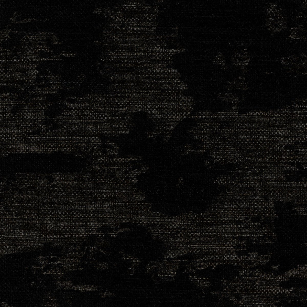 Колекція Adobe, 41304