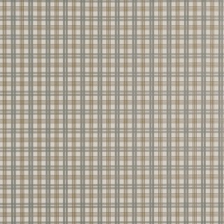 Колекція Stripes and Checks, T44054