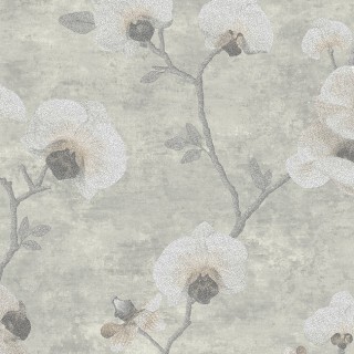 Колекція Malibu, Ml01425