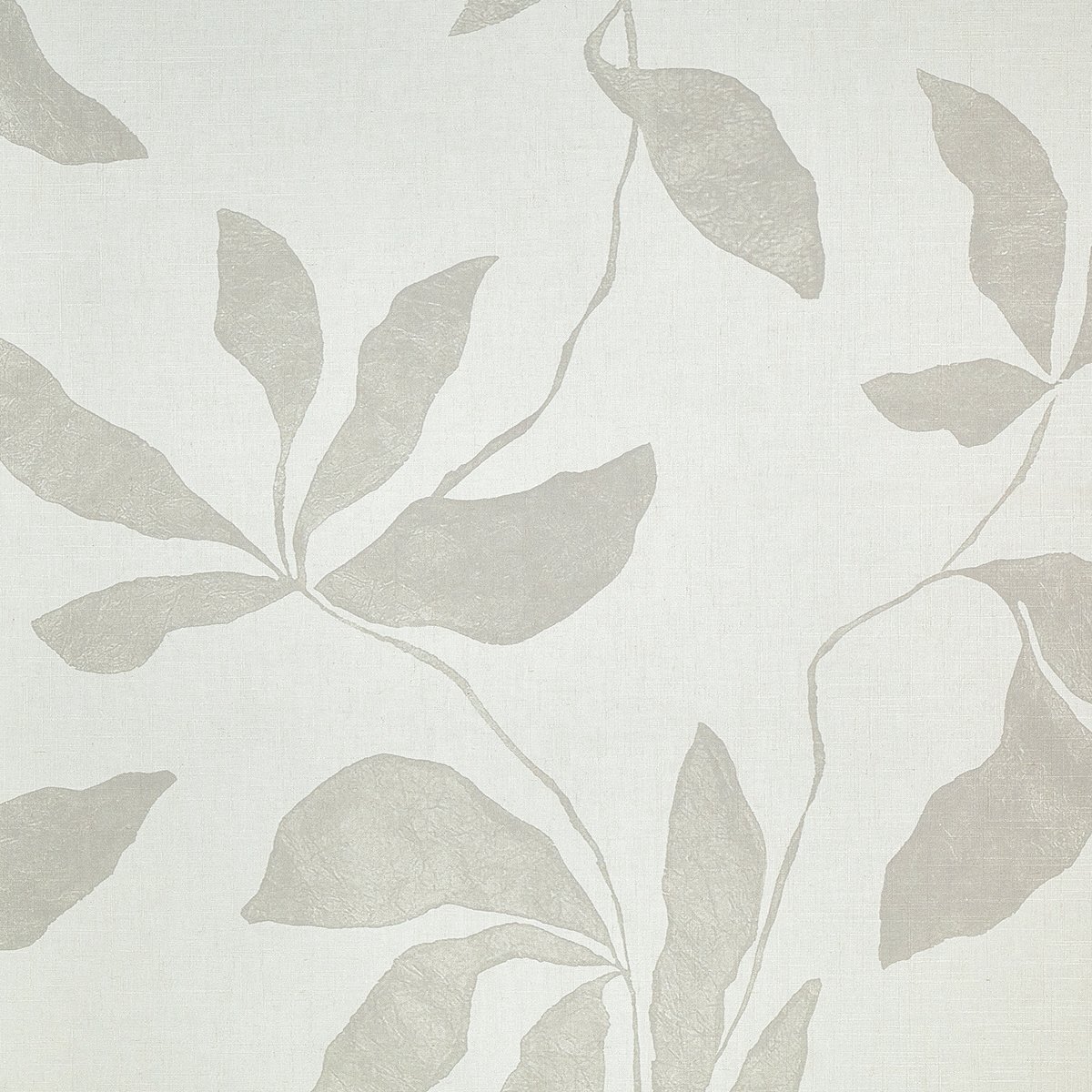 Колекція Desert Ivy, 40200