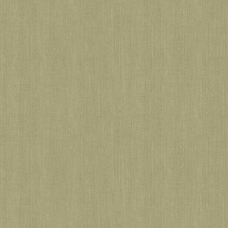 Колекція Ray, RAY006