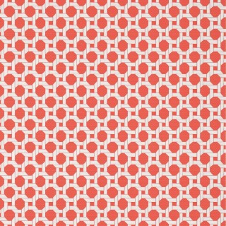 Колекція Palm Grove, T13958