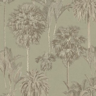 Колекція Oasis, 317324