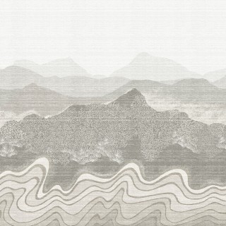 Коллекция  Amazone, DGZON2011