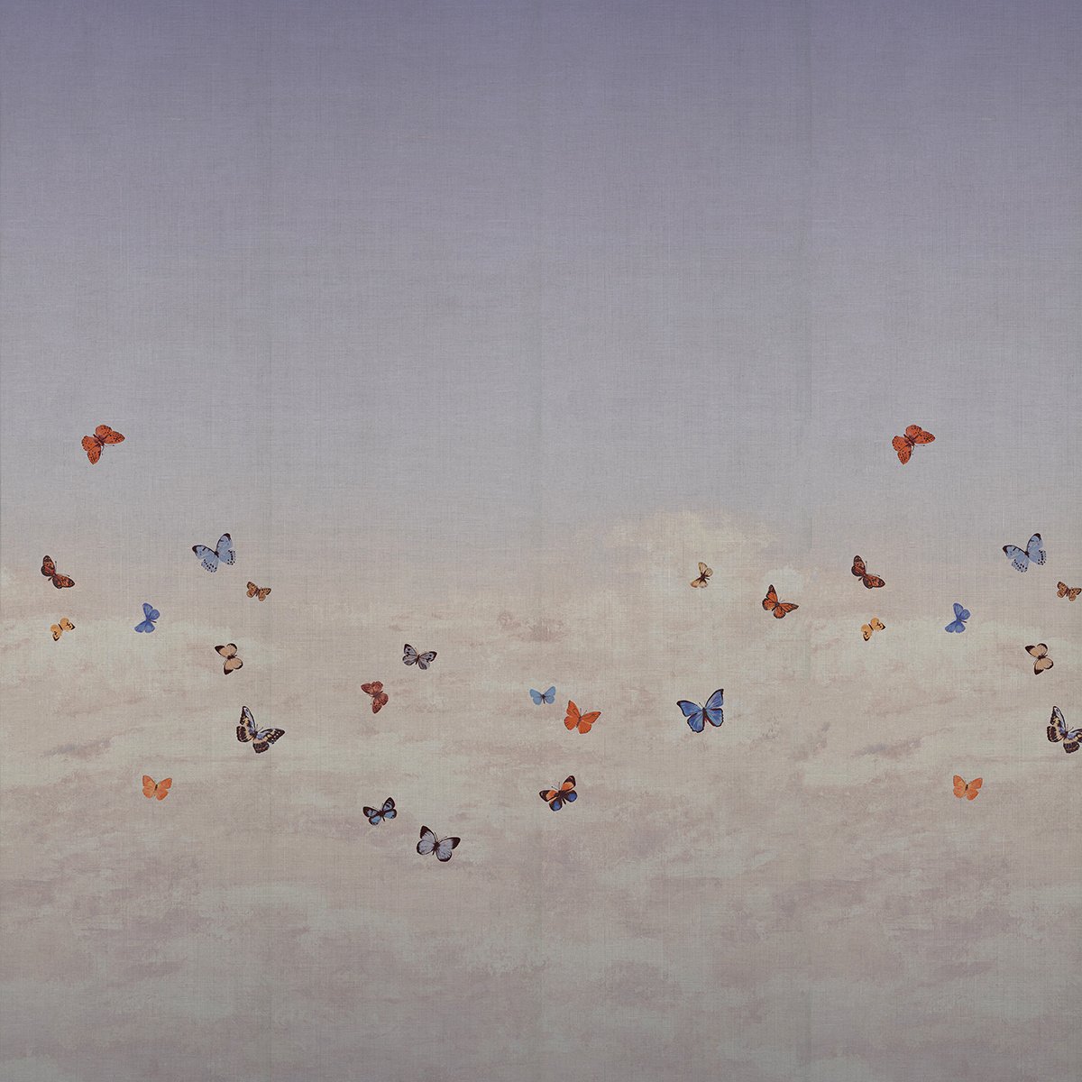 Колекція Butterfly Sky, 9667