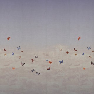 Колекція Butterfly Sky, 9667