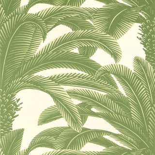 Колекція Palm Grove, T13911