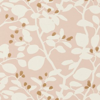 Колекція Colour, HTEW112772