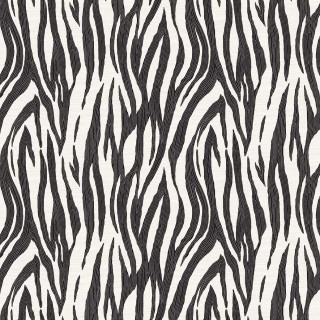 Колекція Piano, WH40216