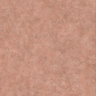 КолекціяPalette, B00018