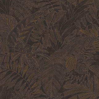 Колекція Ray, RAY205