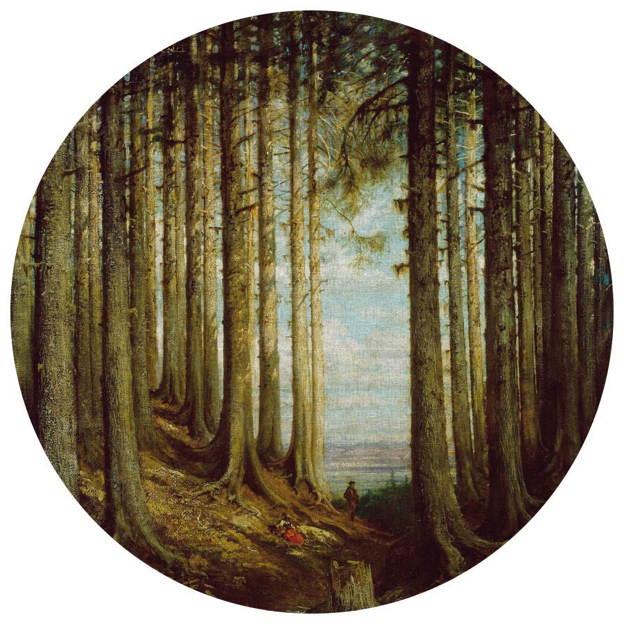 Колекція Painted Memories 2, 8072C