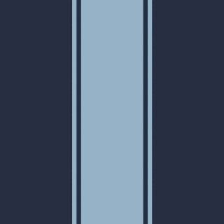 Коллекция  Nantucket Stripes, SR21212