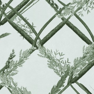 Колекція The Wetlands, WP30162